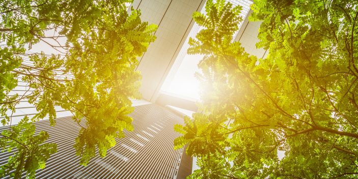 Embedding & delivering sustainability