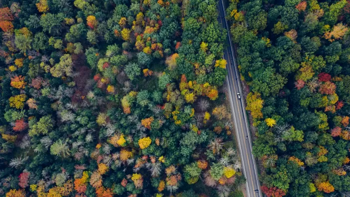 ​Leveraging digital solutions to unlock a low-carbon future