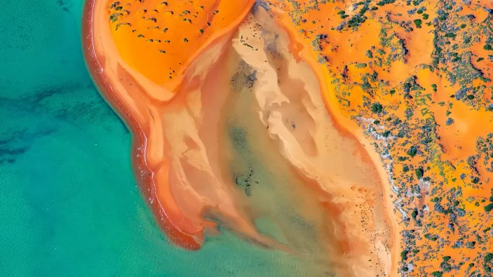 Clough Wood joint venture celebrates 20 Years  